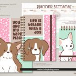 Dog Person | Combo