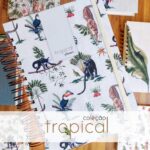 Coleção Tropical Permanente