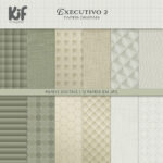Papeis - Executivo 2