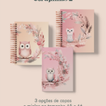 ENCADERNAÇÃO DIGITAL Corujinhas 2