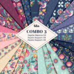 Combo Papéis Pássaros 03