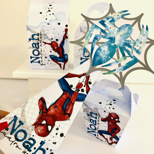HOMEM ARANHA  - Coletiva Festa Pronta cod43