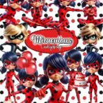 Kit Digital Ladybug
