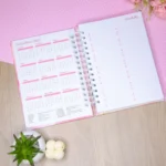 Super Combo Agendas A5 | Datadas + Permanentes + Capas | 126 miolos Col. Vagalume + 3 Bônus - Imagem 9