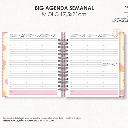 BIG AGENDA VISÃO SEMANAL | 2026