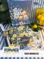 Summer Feelings - Combo Midoris 1, 2 e 3 + Video Aula - Imagem 23