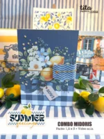 Summer Feelings - Combo Midoris 1, 2 e 3 + Video Aula - Imagem 6