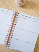 Combo Agenda Escolar e Infantil - Imagem 5