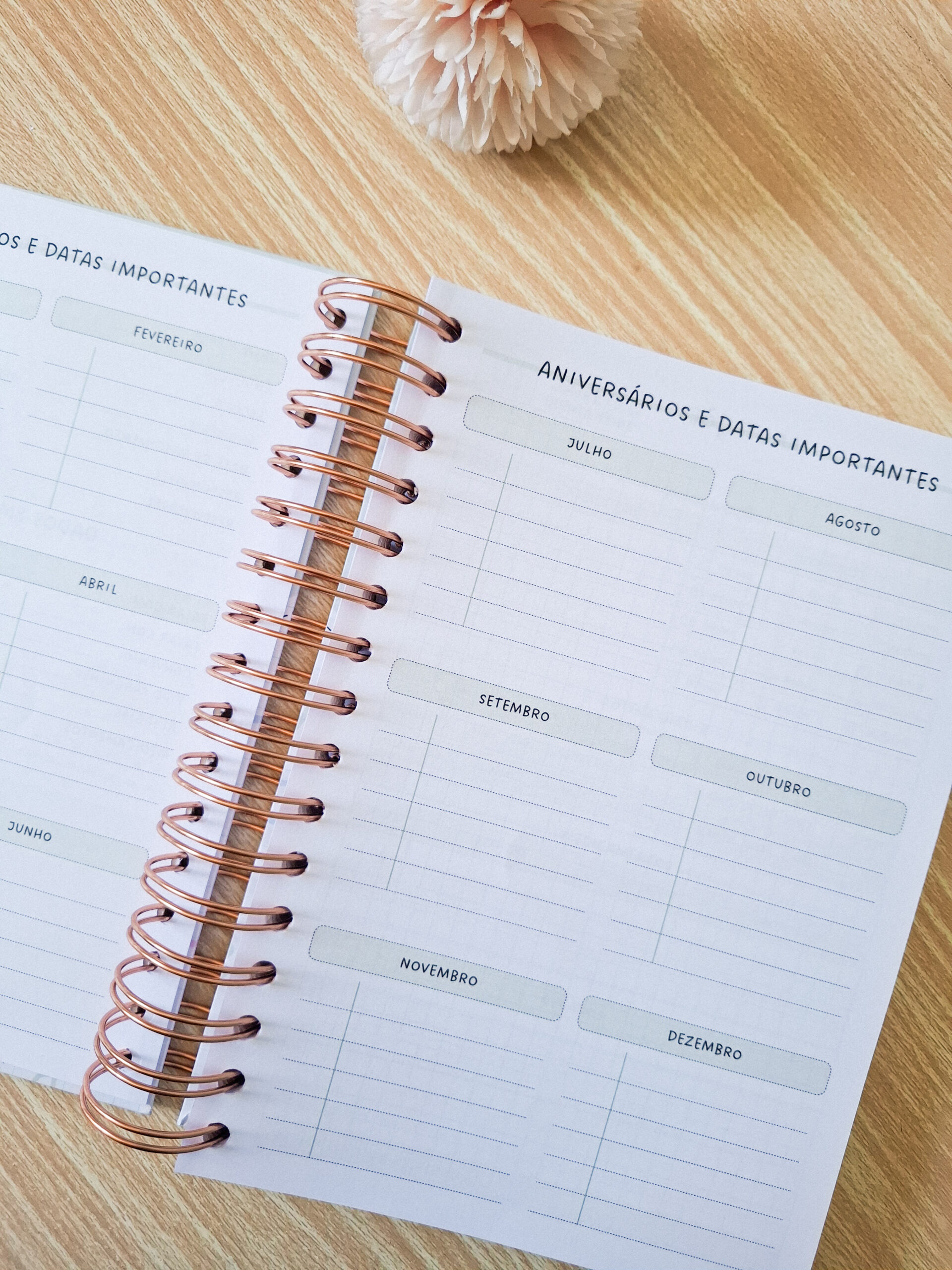 20251023_120114 Combo Agenda Escolar e Infantil - Imagem 5