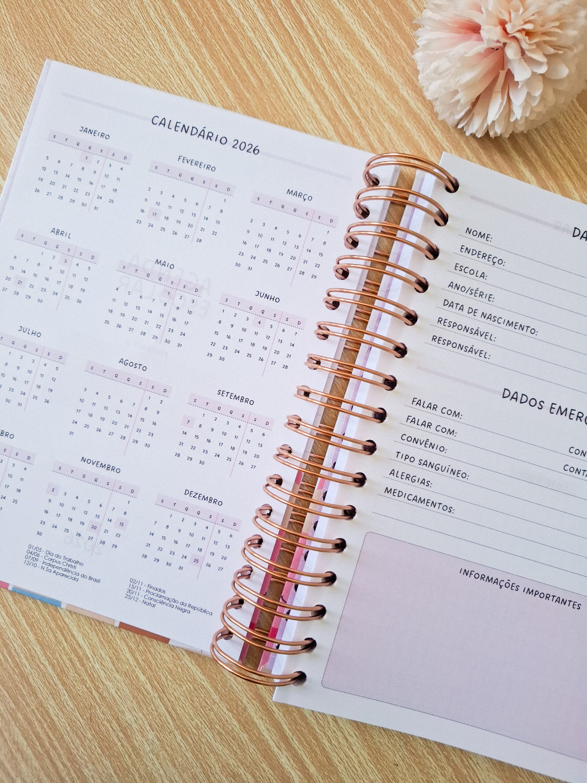 20251023_123318 Combo Agenda Escolar e Infantil - Imagem 10