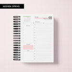 Miolo digital – Agenda Spring 2026