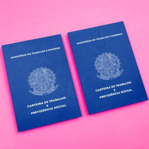 Carteira de Trabalho Mirim – Versão Educativa