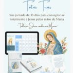 Consagração 33 Dias por Maria - Arquivo Digital
