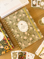 Dia dos Professores 2025