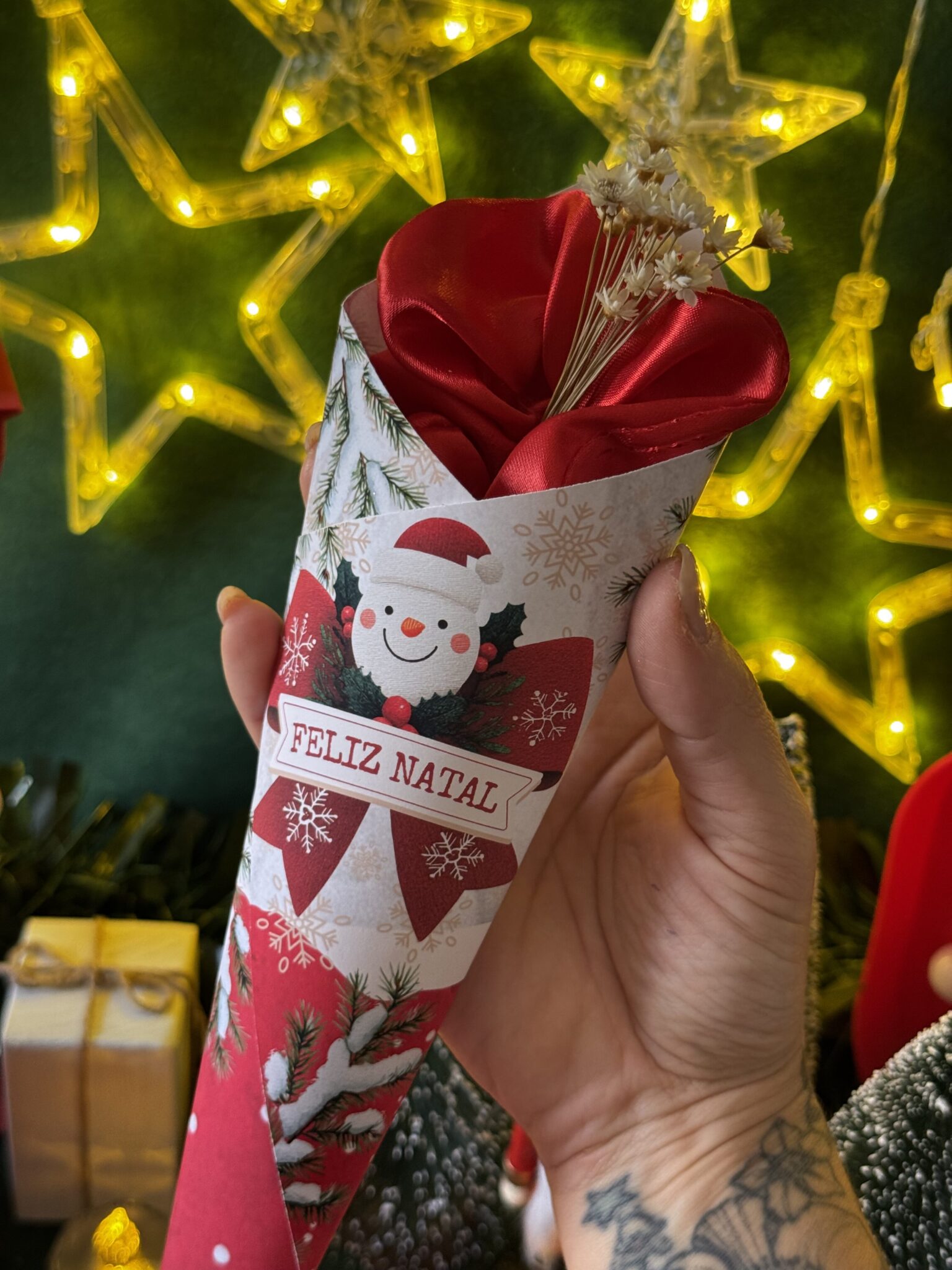 IMG_1773 Coleção Digital NATAL 2025 - Imagem 10