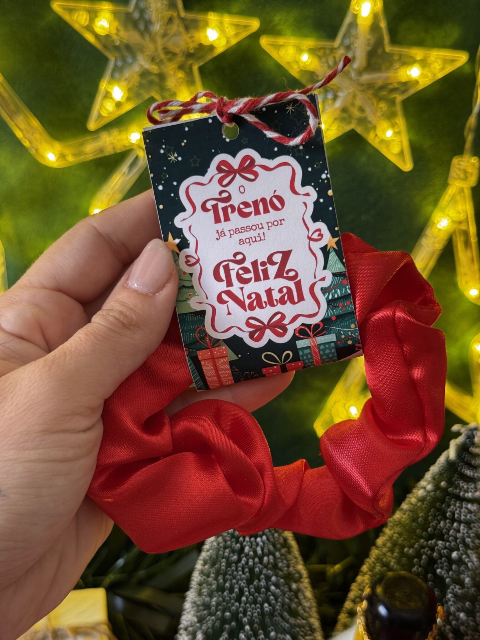 IMG_1781 Coleção Digital NATAL 2025 - Imagem 13