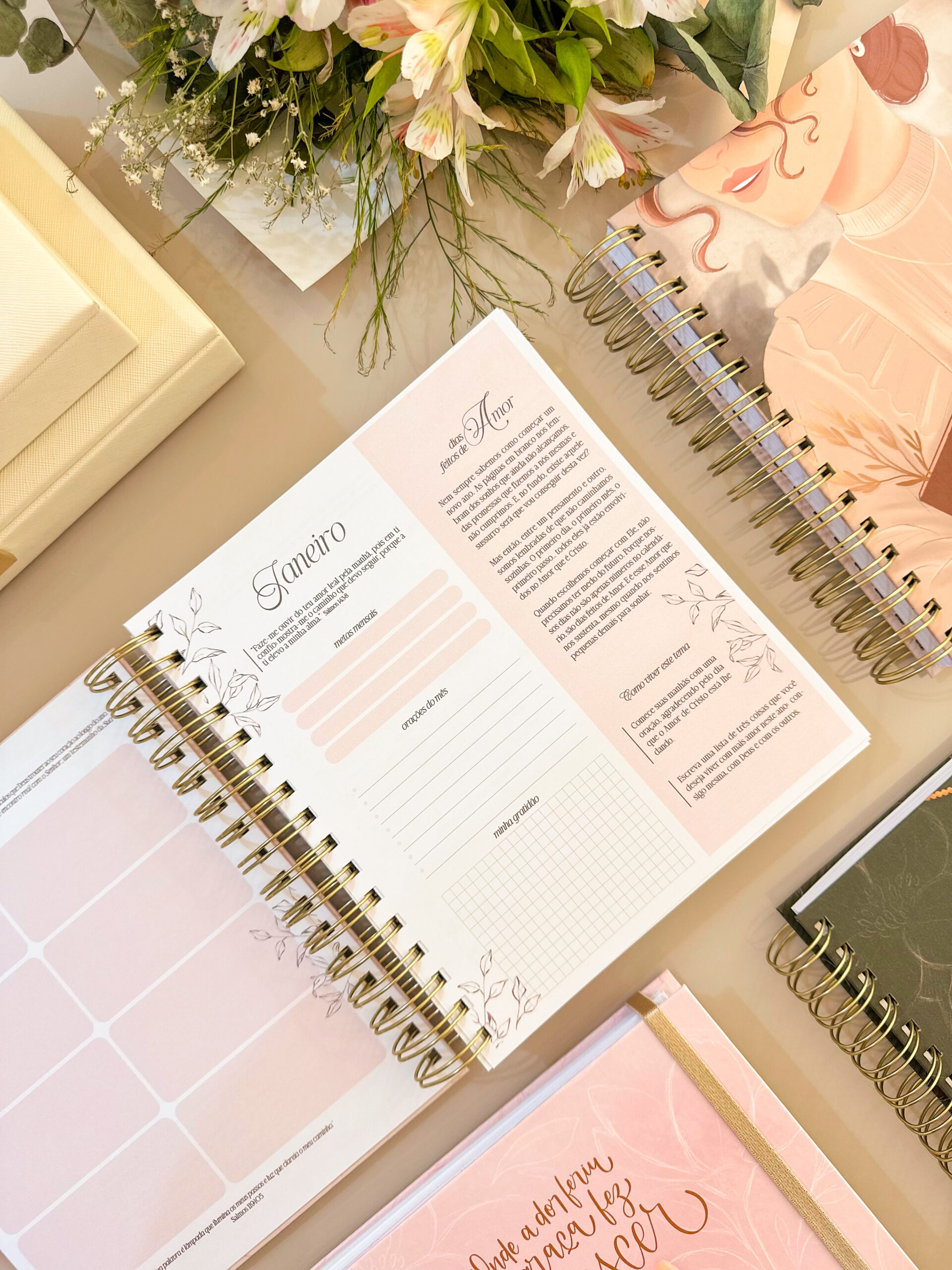 IMG_7092_jpg Coleção Encadernação Evangélica - Imagem 9