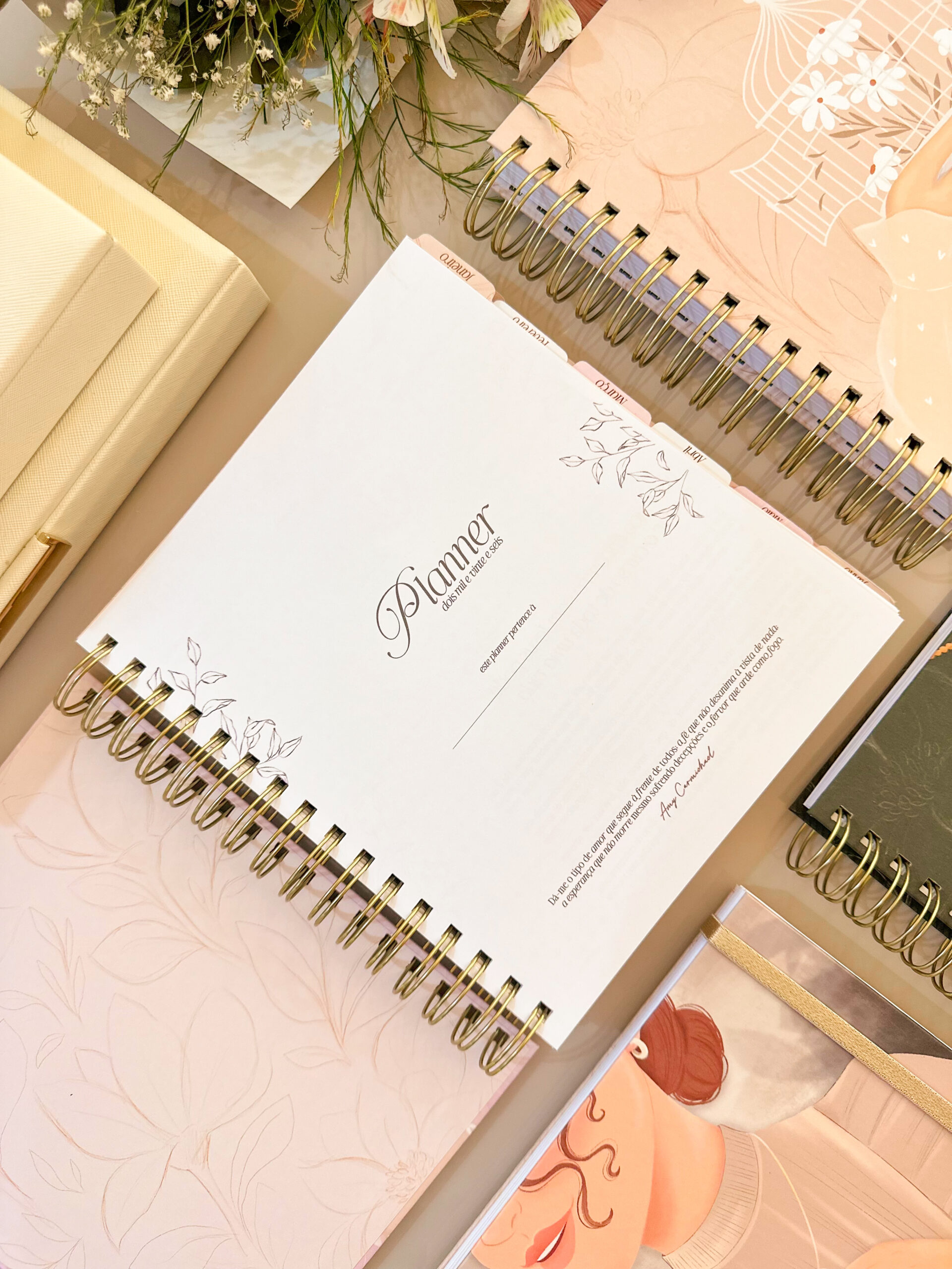 IMG_7134_jpg Coleção Encadernação Evangélica - Imagem 13