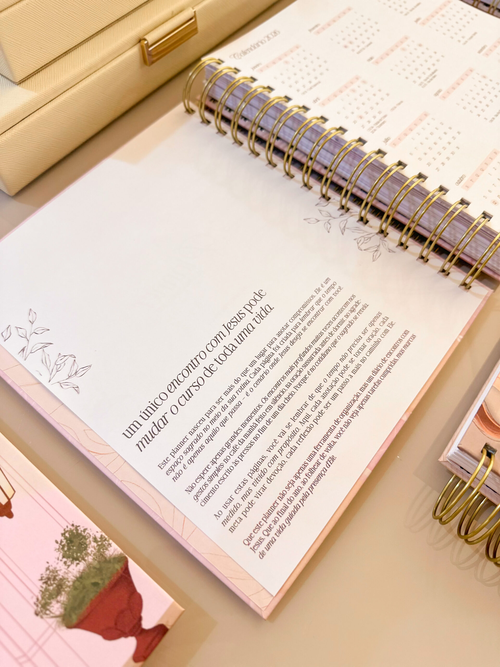 IMG_7137_jpg Coleção Encadernação Evangélica - Imagem 14