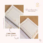 Agendamentos Procedimentos 2026 – 8 cores