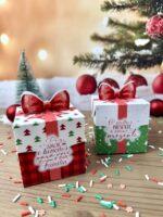 Coleção Natal Noel 2025 - Imagem 5