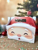 Coleção Natal Noel 2025 - Imagem 21