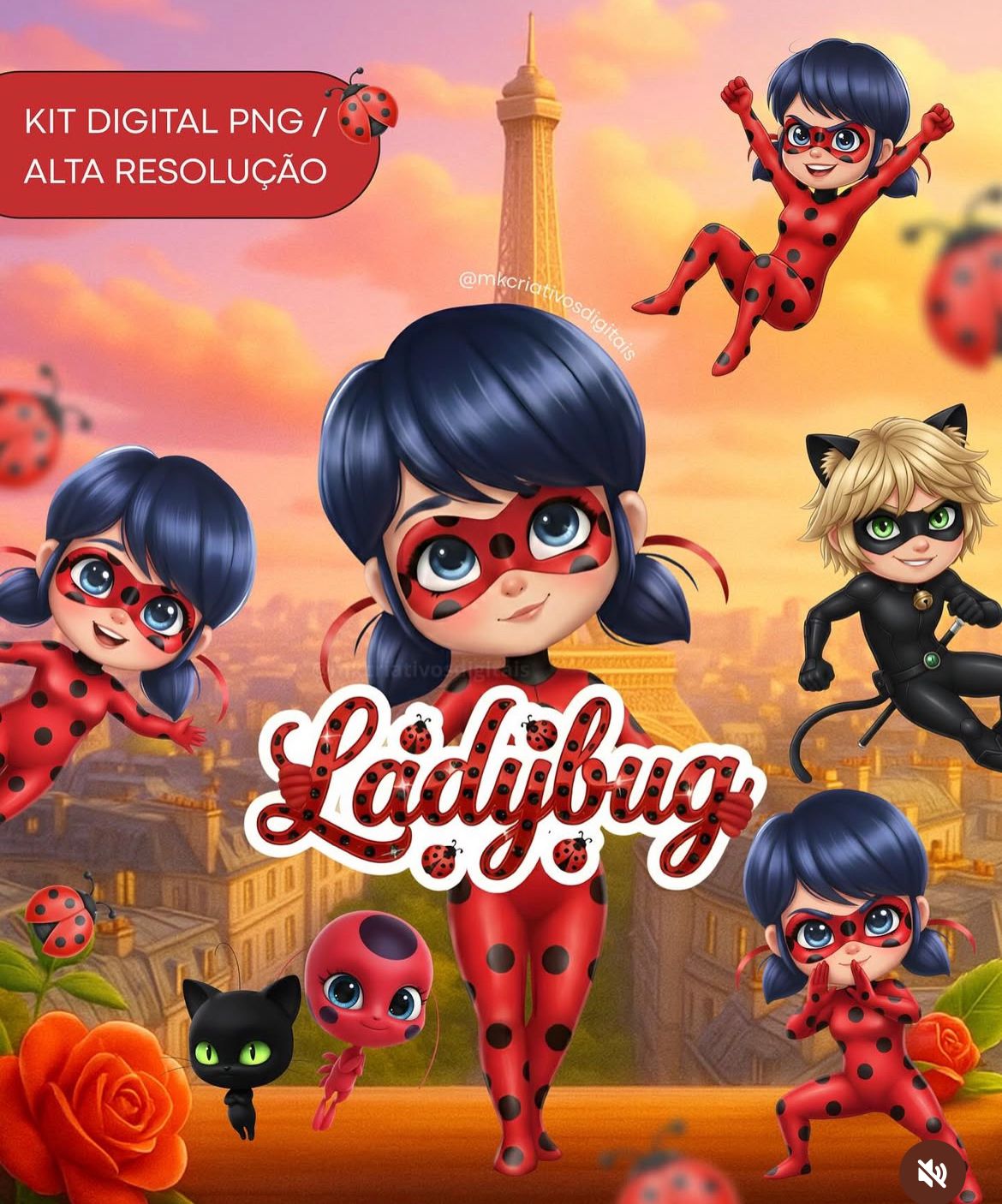 Ladybug KIT DIGITAL Lady - Imagem 1