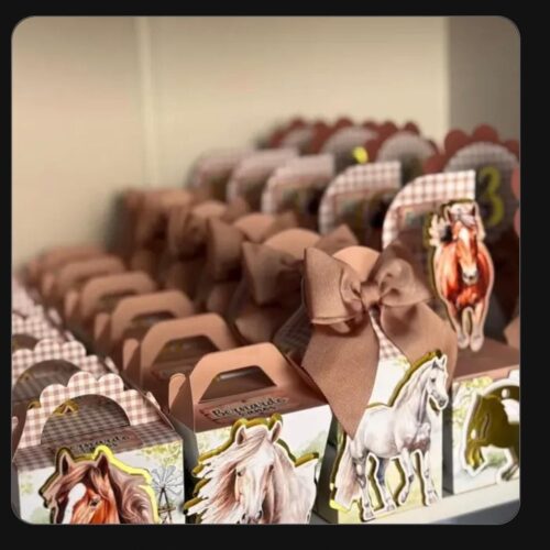 COWBOY - COUNTRY  - Coletiva Festa Pronta