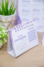 Combo Calendários 2026 Col. Vagalume - Imagem 3