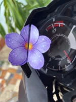 Arquivo digital kit Borboleta, Flor, Laço e Caixa de presente - Imagem 6