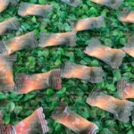 Molde Bala Personalizada - Imagem 2