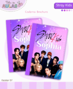 Volta às Aulas - STRAY KIDS - Imagem 3