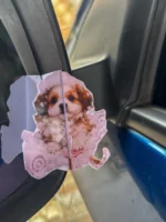 Arquivo digital cartões retrovisor + de 100 modelos - Imagem 8