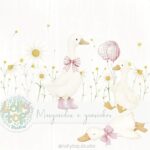 Margaridas e Gansinhos Rosa – Ilustrações
