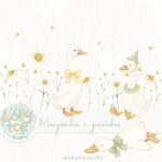 Margaridas e Gansinhos – Ilustrações