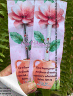 Kit 8 mimos dia das mulheres - Imagem 3