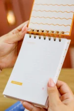 COLEÇÃO ENCANTO - Imagem 18