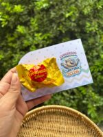 Arquivo CONGRESSO INTERNACIONAL 2026 - Imagem 6