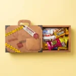 Maleta de Agente para Operação Ovo Secreto - Imagem 2