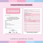 Arquivo Caderneta da Gestante 2026 Original + 4 cores personalizadas - Imagem 2